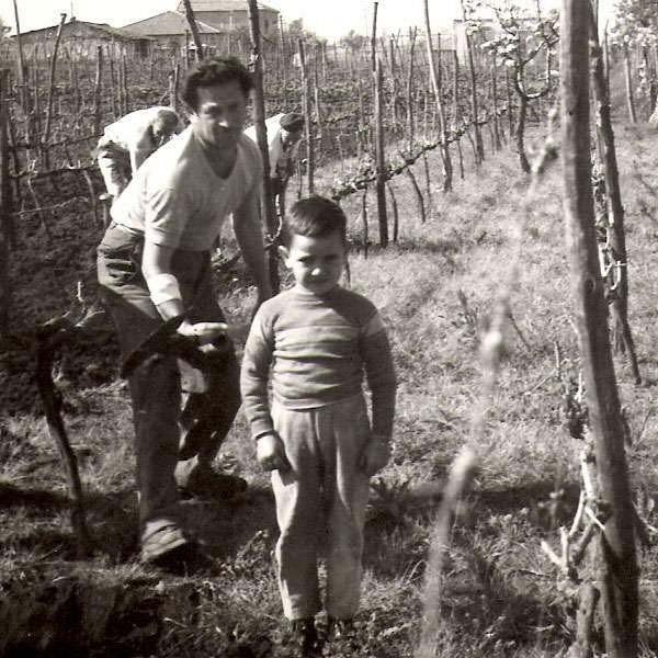 Grandpa in the vineyard